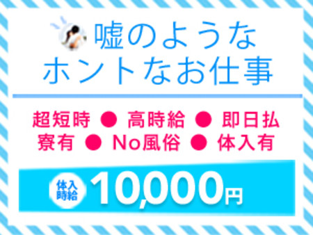 安心安全!NO風俗!