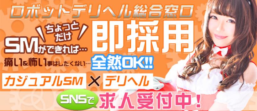 ロボットデリヘル 五反田基地の求人