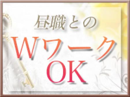 昼職とのWワークOK!