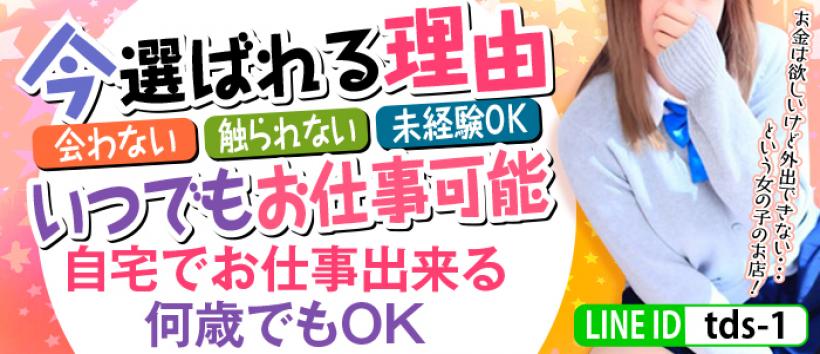 TDS 豊橋本店