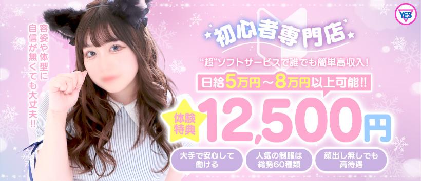 ラズベリードールの求人