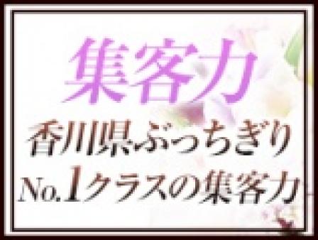 香川県アクセスランキングNO.1の集客力!!!