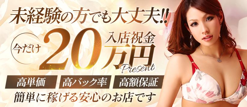 Madonna(マドンナ)の求人