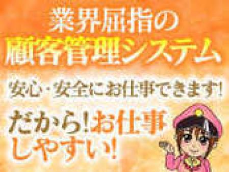 安定した収入をお約束いたします。