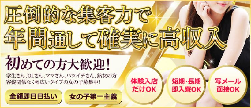 キラキラコレクションの求人
