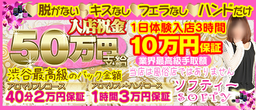 ソフティの求人