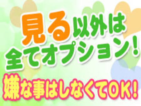 見るだけコース