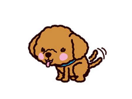 未経験が半数以上、初めての方へ(*´ω`*)