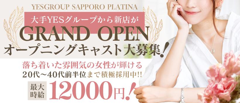 PLATINA R-30の求人