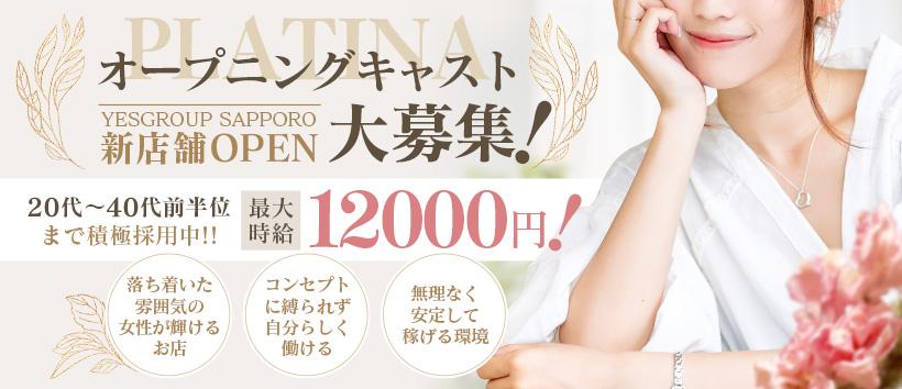 PLATINA R-30の求人