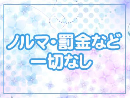 ノルマ・罰金一切なし