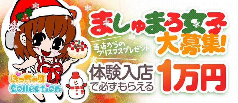 ぽっちゃりcollection