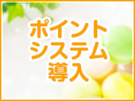 ポイント制で稼ぎましょう!