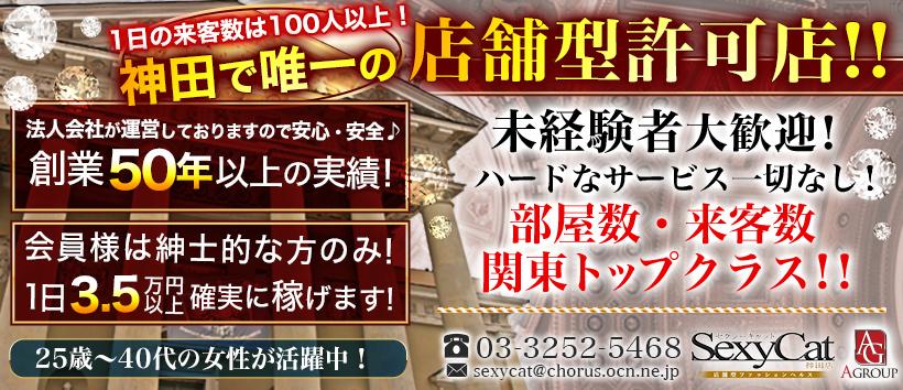 セクシーキャット神田店