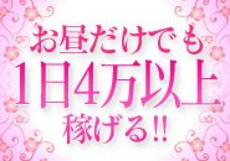日中からお忙しなんです!!!