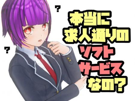 本当にソフトサービス?【お仕事内容のおさらい】