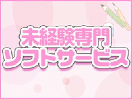 ソフトサービス