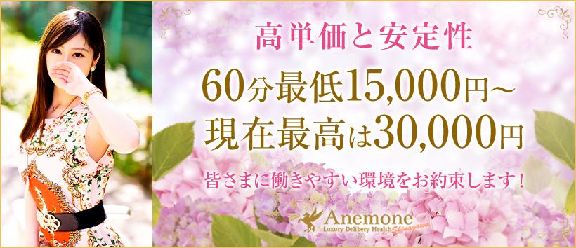 アネモネ Anemone 品川