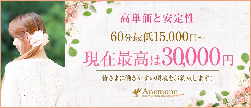アネモネ Anemone 品川