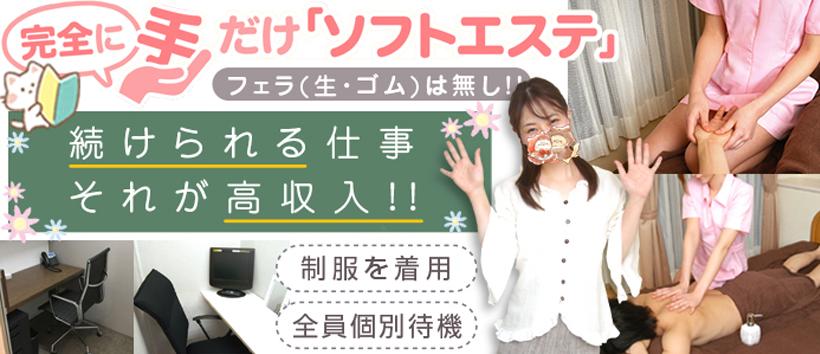 myflower マイフラワーの求人