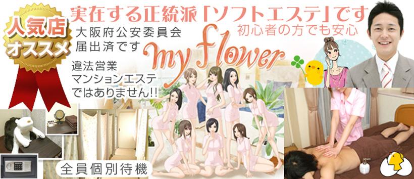 myflower マイフラワーの求人