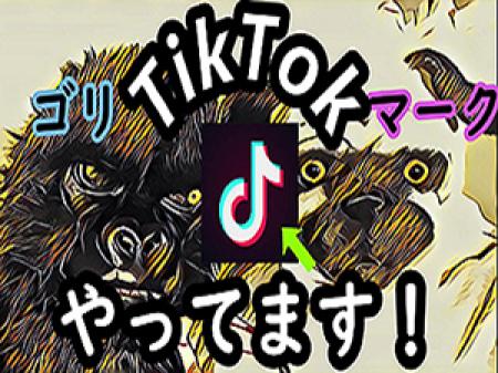 ゴリ&マークのTikTokはこちらから♪