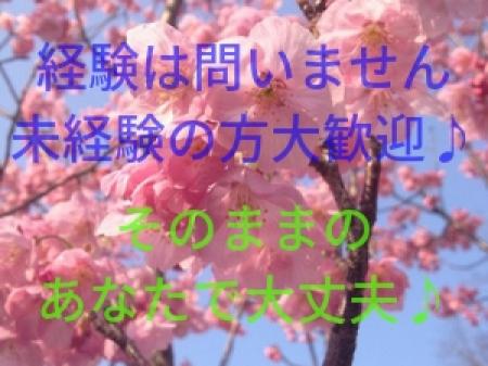 経験が無くても大丈夫♪