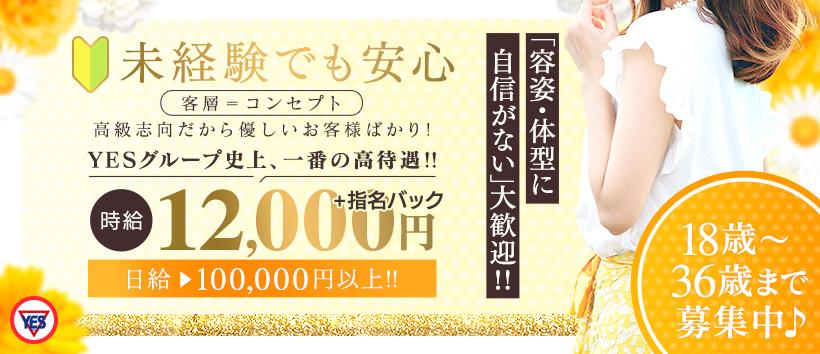 Sirenaの求人