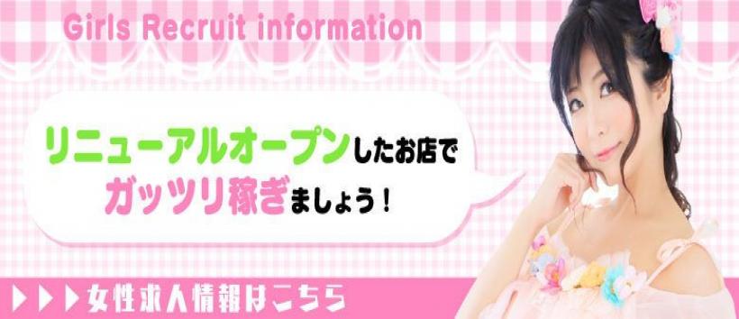 コレクションの求人