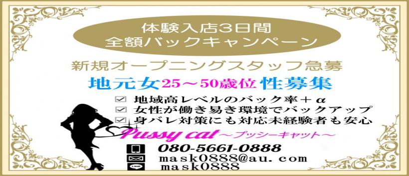 プッシーキャットの求人
