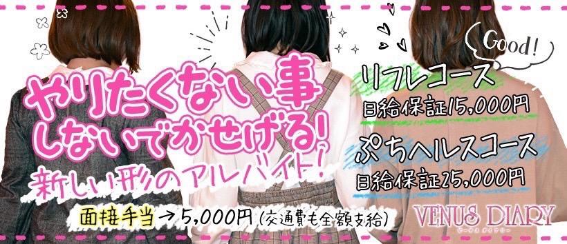 Venus diary