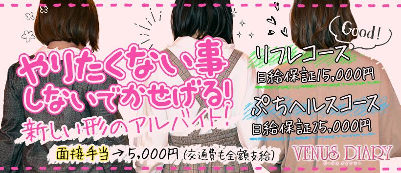 Venus diaryの求人