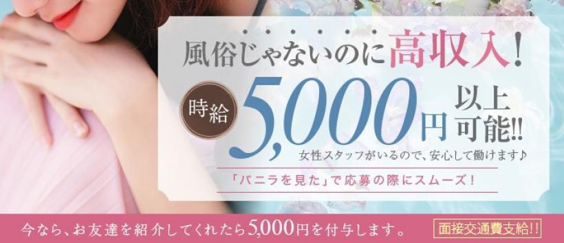 ヴェラールの求人