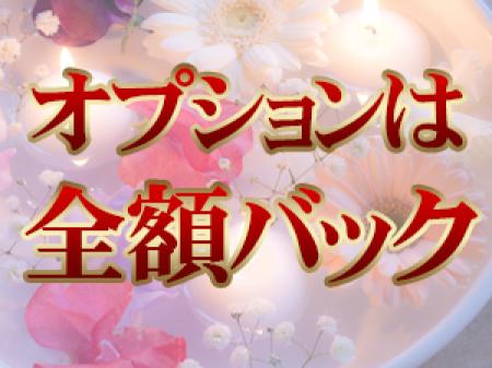 追加オプションについて