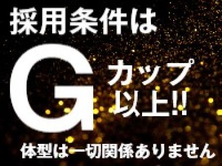 カップ数を再重要視します!体型は関係ありません!