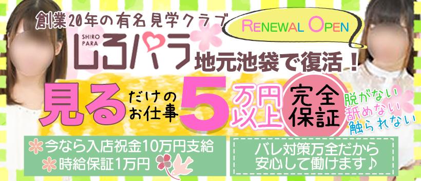 しろパラ