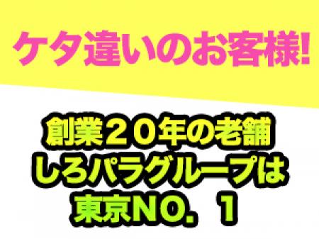 創業20年の老舗オナクラしろパラグループは、ケタ違いの会員様がいます!