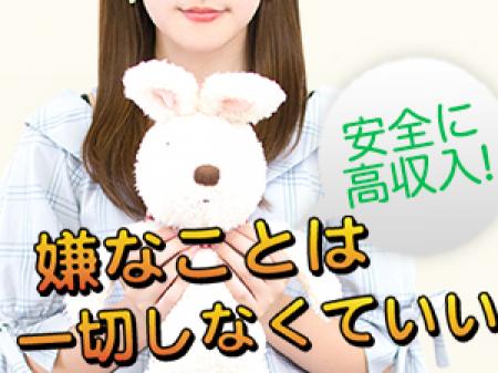 嫌なことは一切しなくていいお仕事です!
