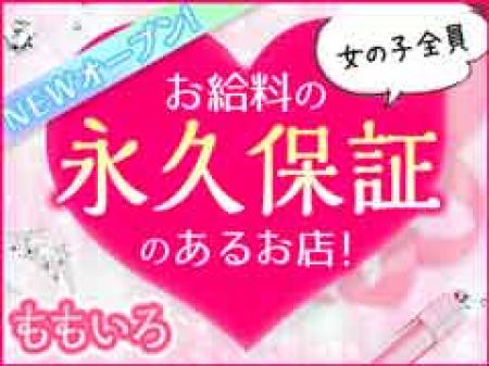 『お給料の永久保証があるので安心』