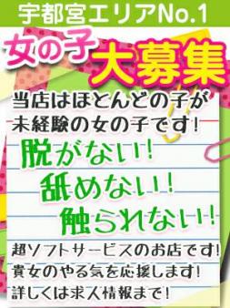 脱がなくても稼げます