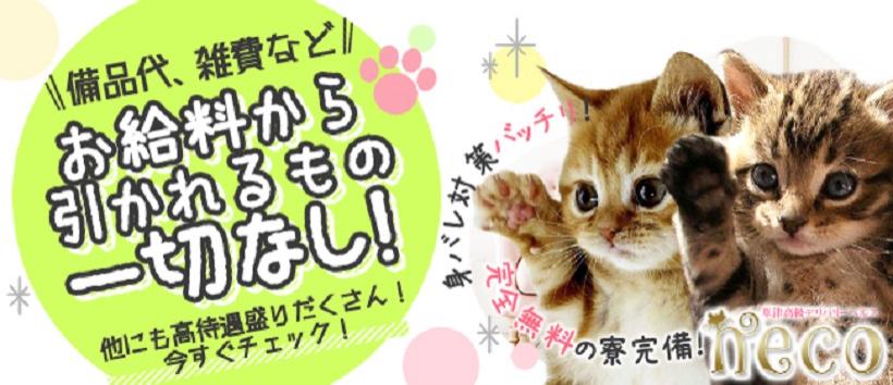 デリバリーヘルスneco