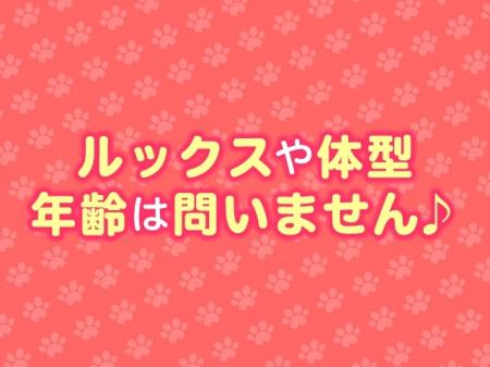 容姿や体型、年齢は一切不問です!