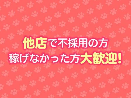 稼げるためのサポートは万全!