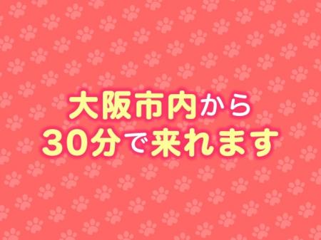 大阪市内からでも乗り換え無しで30分圏内