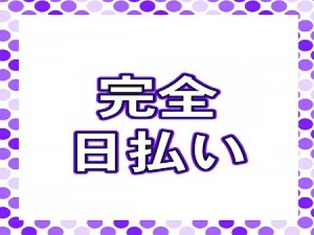 完全日払い制