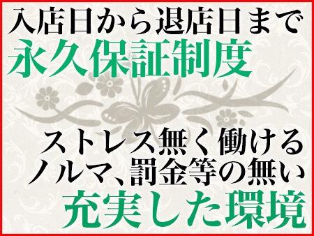 何より、ストレスなく稼いでほしい