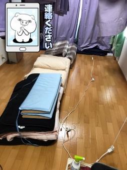 毎日しっかり掃除してます!