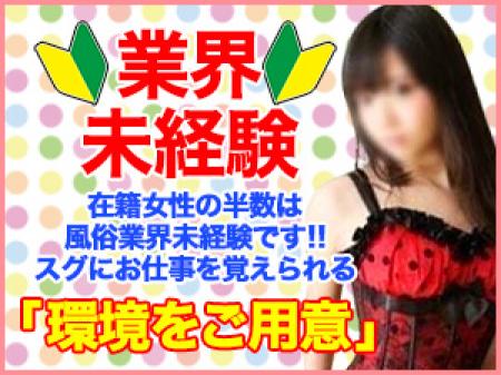 未経験の方もしっかりとサポート致します!