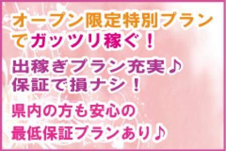 オープン限定特別プランでガッツリ稼ぐ!