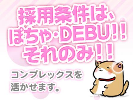 採用条件は、ぽちゃ・DEBU‼それのみ‼